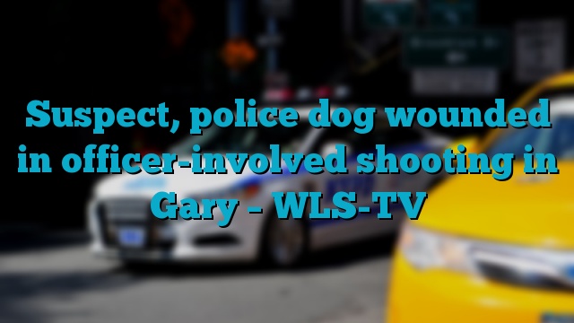 Suspect, police dog wounded in officer-involved shooting in Gary – WLS-TV