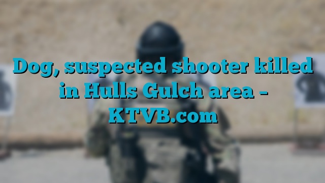 Dog, suspected shooter killed in Hulls Gulch area – KTVB.com